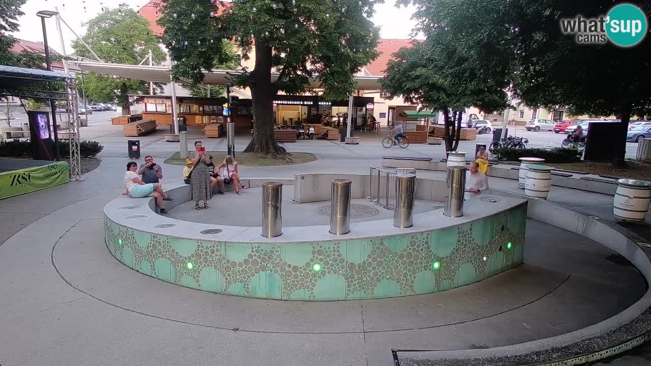 Web kamera Fontana piva – Zeleno zlato – Žalec