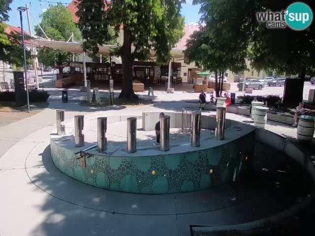 Fontana di birra Webcam – Oro verde – Žalec