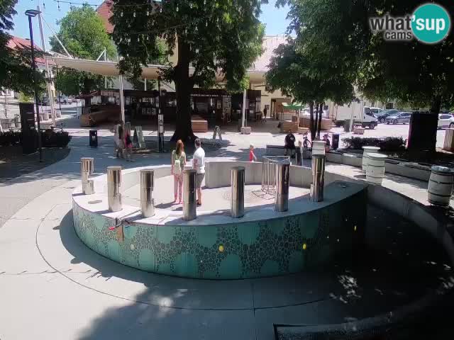 Bier-Springbrunnen Webcam Žalec – Grünen Goldes
