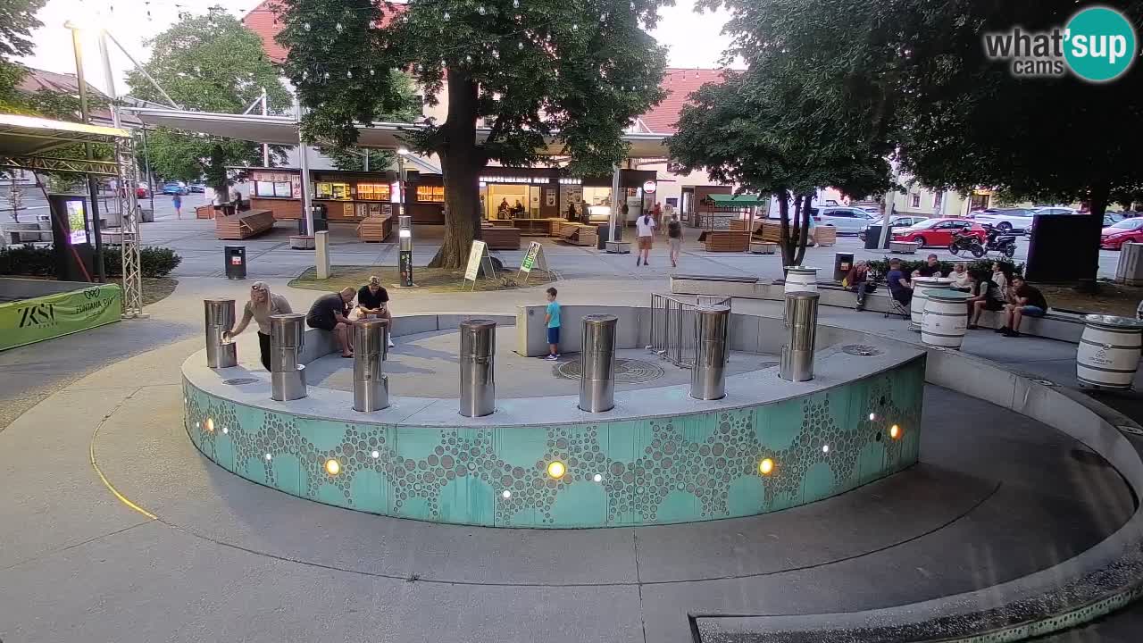 Camera en vivo Fuente de cerveza – Oro verde – Žalec