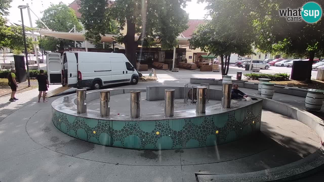 Camera en vivo Fuente de cerveza – Oro verde – Žalec