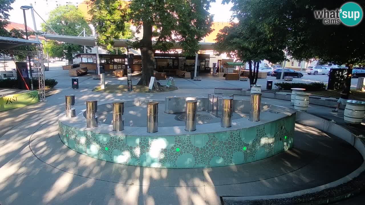 Fontaine à bière LIVE webcam – Or vert – Žalec