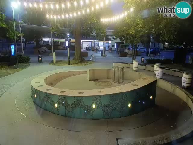 Camera en vivo Fuente de cerveza – Oro verde – Žalec