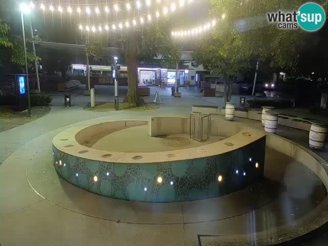 Camera en vivo Fuente de cerveza – Oro verde – Žalec
