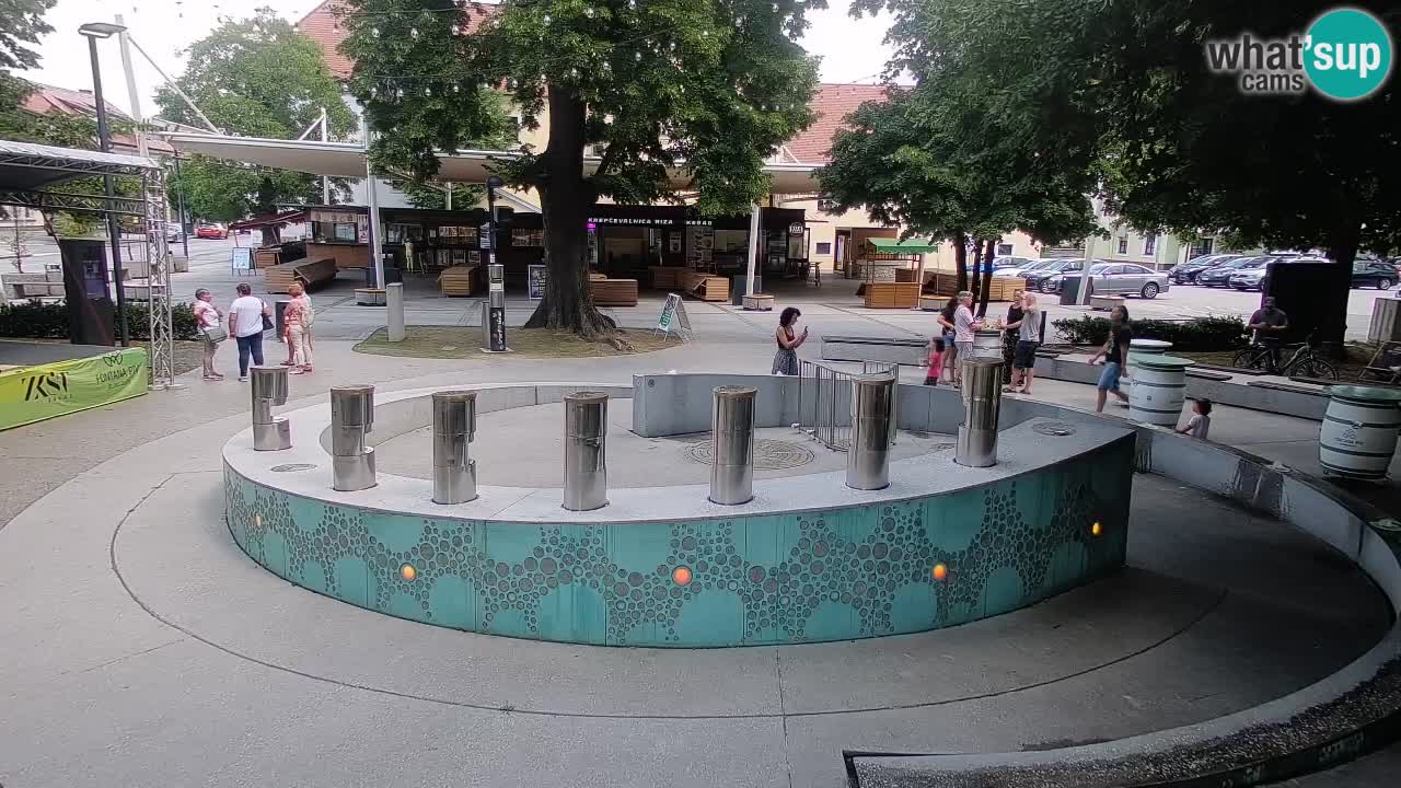 Camera en vivo Fuente de cerveza – Oro verde – Žalec