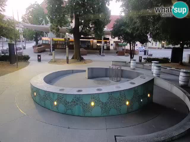Camera en vivo Fuente de cerveza – Oro verde – Žalec