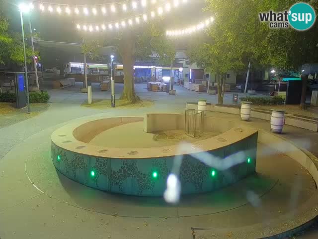 Fontana di birra Webcam – Oro verde – Žalec