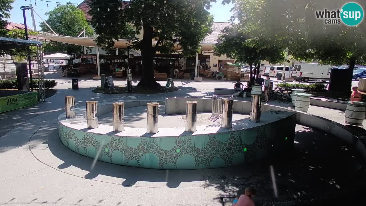 Fontaine à bière LIVE webcam – Or vert – Žalec
