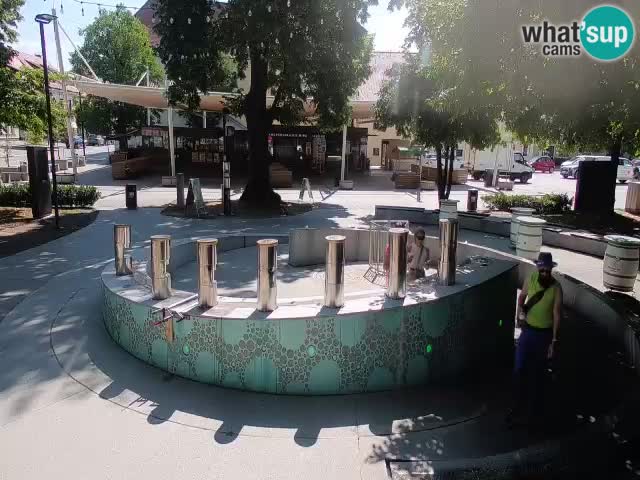 Web kamera Fontana piva – Zeleno zlato – Žalec