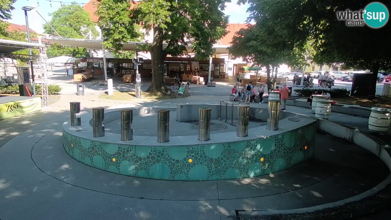 Web kamera Fontana piva – Zeleno zlato – Žalec