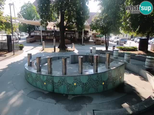 Camera en vivo Fuente de cerveza – Oro verde – Žalec