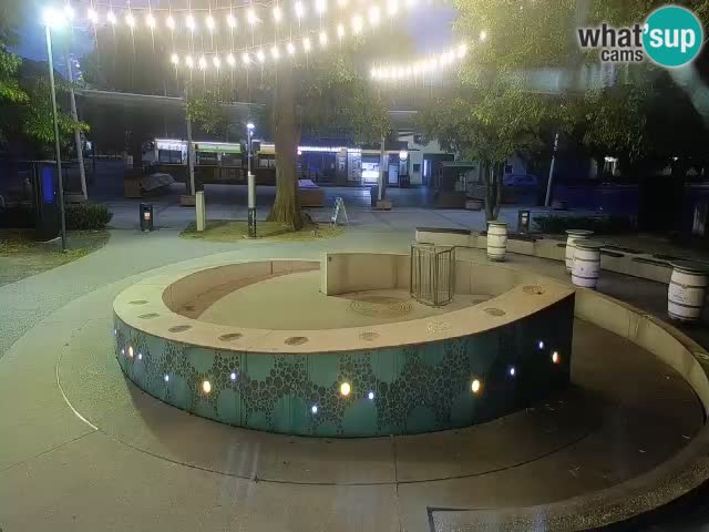 Bier-Springbrunnen Webcam Žalec – Grünen Goldes