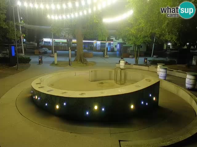 Bier-Springbrunnen Webcam Žalec – Grünen Goldes