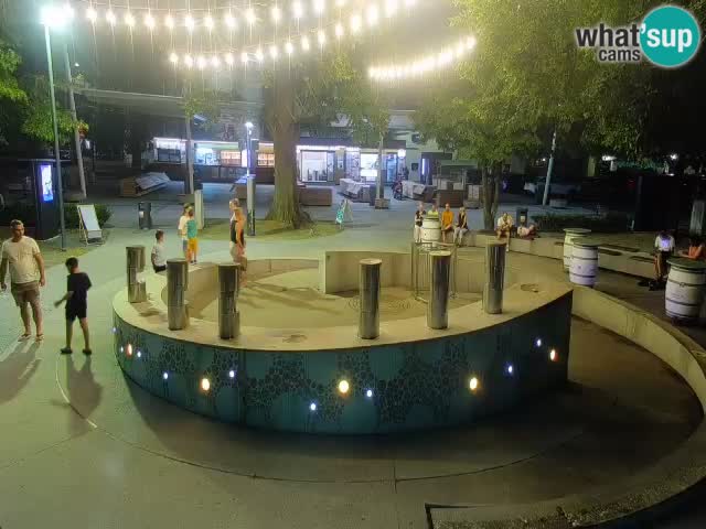 Fontana di birra Webcam – Oro verde – Žalec
