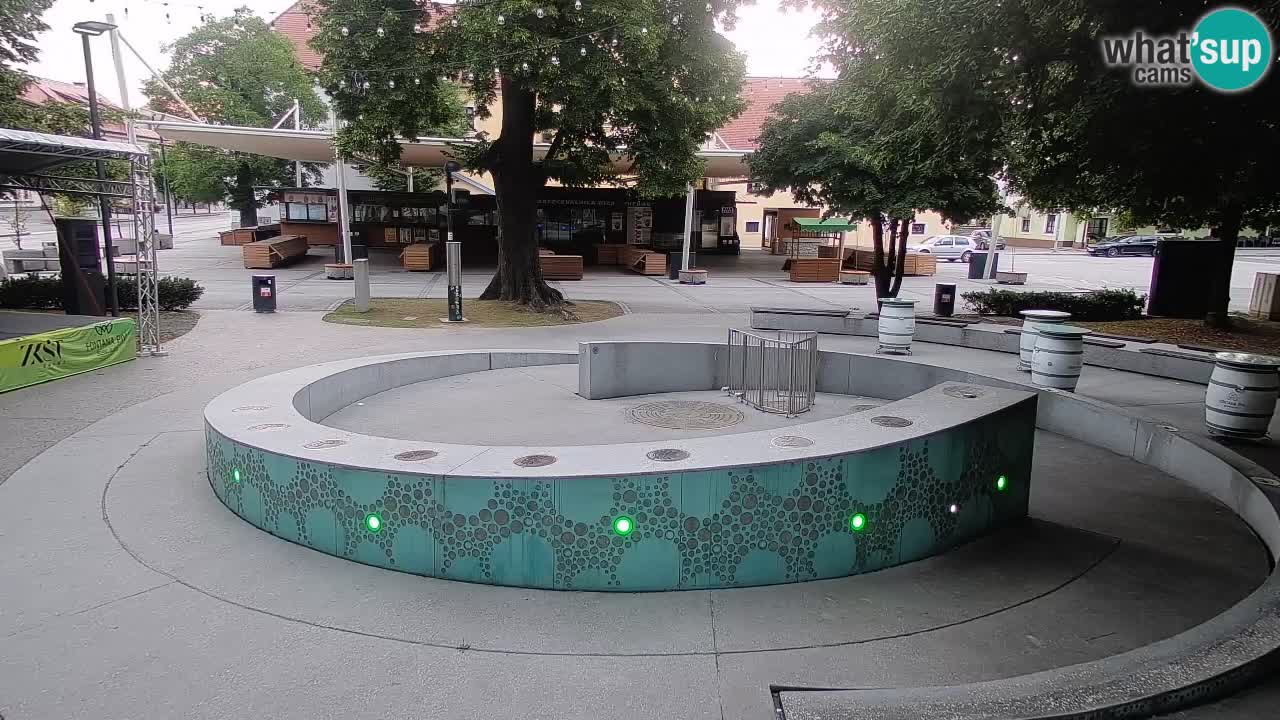 Fontaine à bière LIVE webcam – Or vert – Žalec