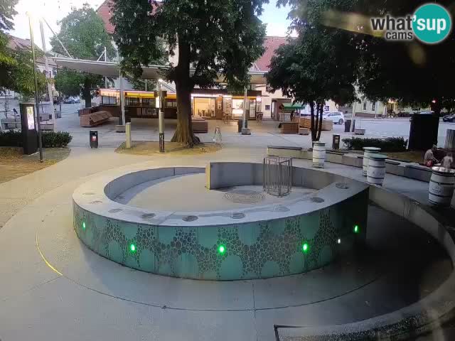 Camera en vivo Fuente de cerveza – Oro verde – Žalec