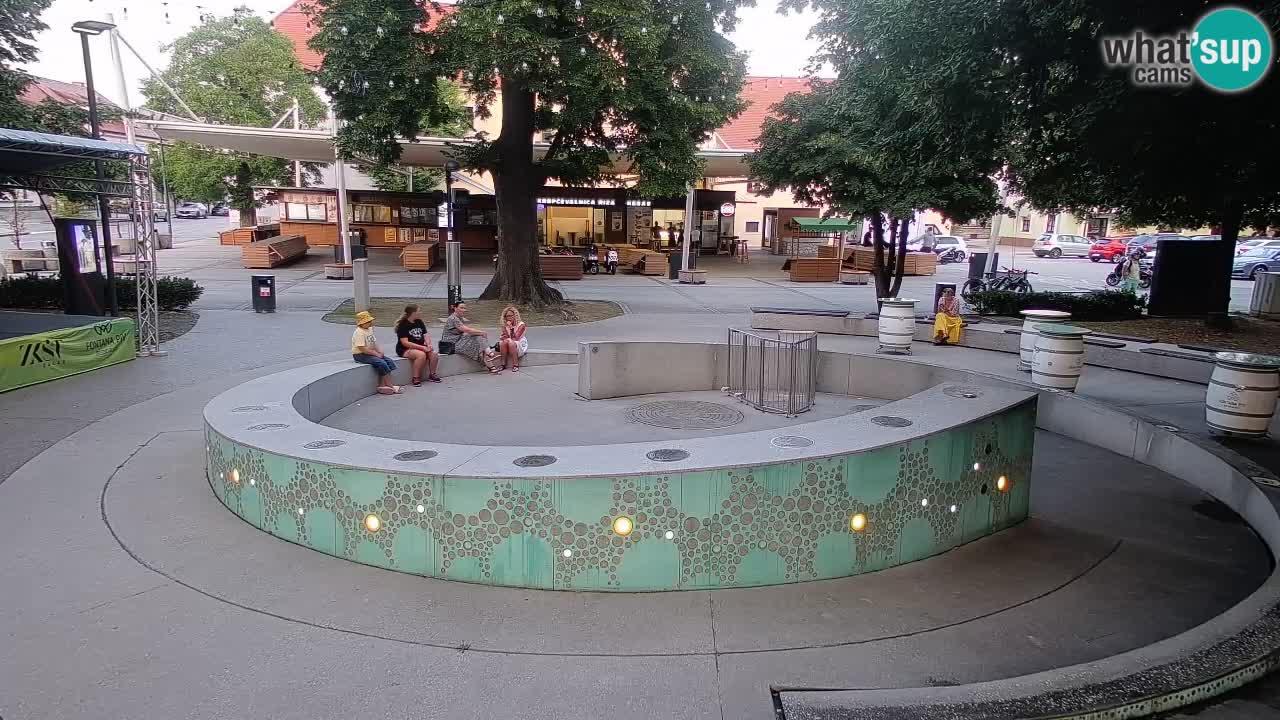 Camera en vivo Fuente de cerveza – Oro verde – Žalec