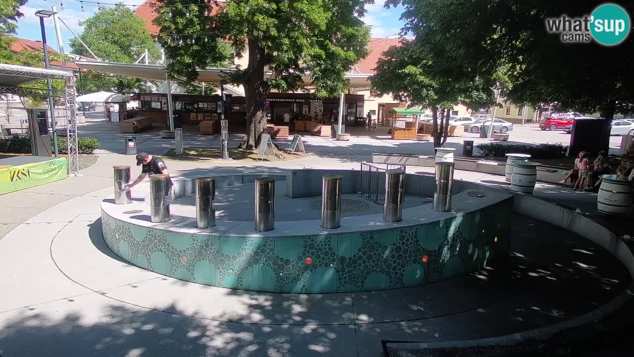 Spletna kamera Fontana Piv – Zeleno zlato Žalec