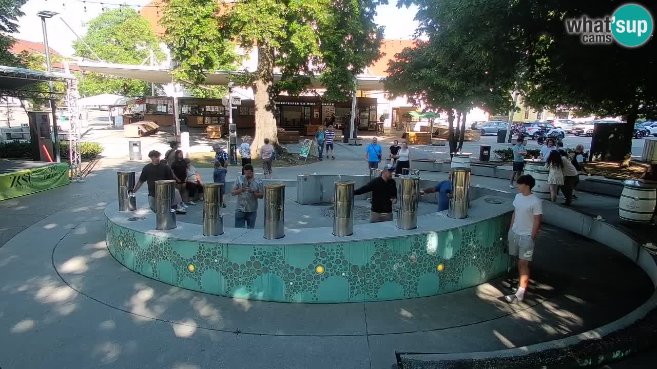 Fontana di birra Webcam – Oro verde – Žalec
