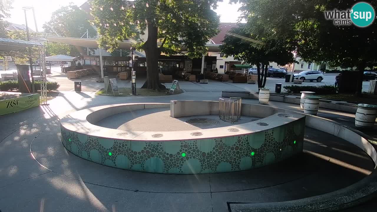 Camera en vivo Fuente de cerveza – Oro verde – Žalec