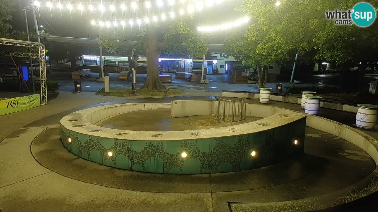 Bier-Springbrunnen Webcam Žalec – Grünen Goldes