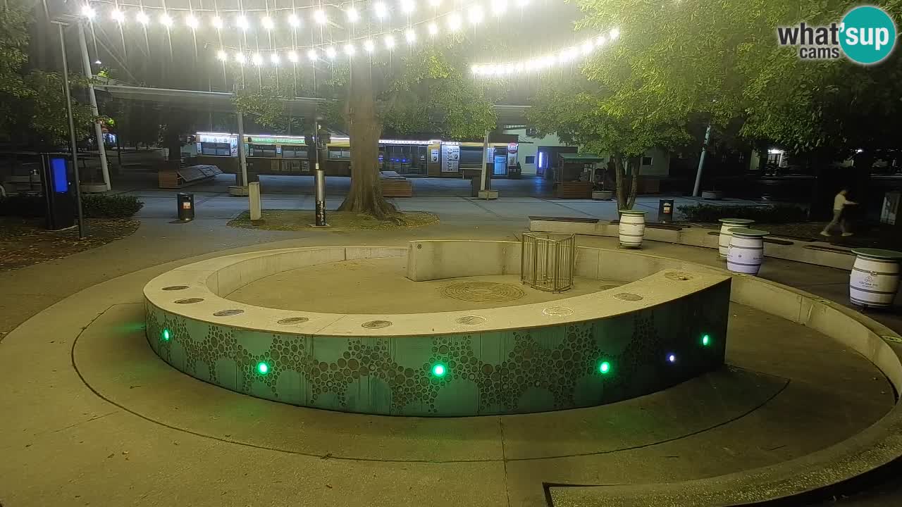 Fontana di birra Webcam – Oro verde – Žalec