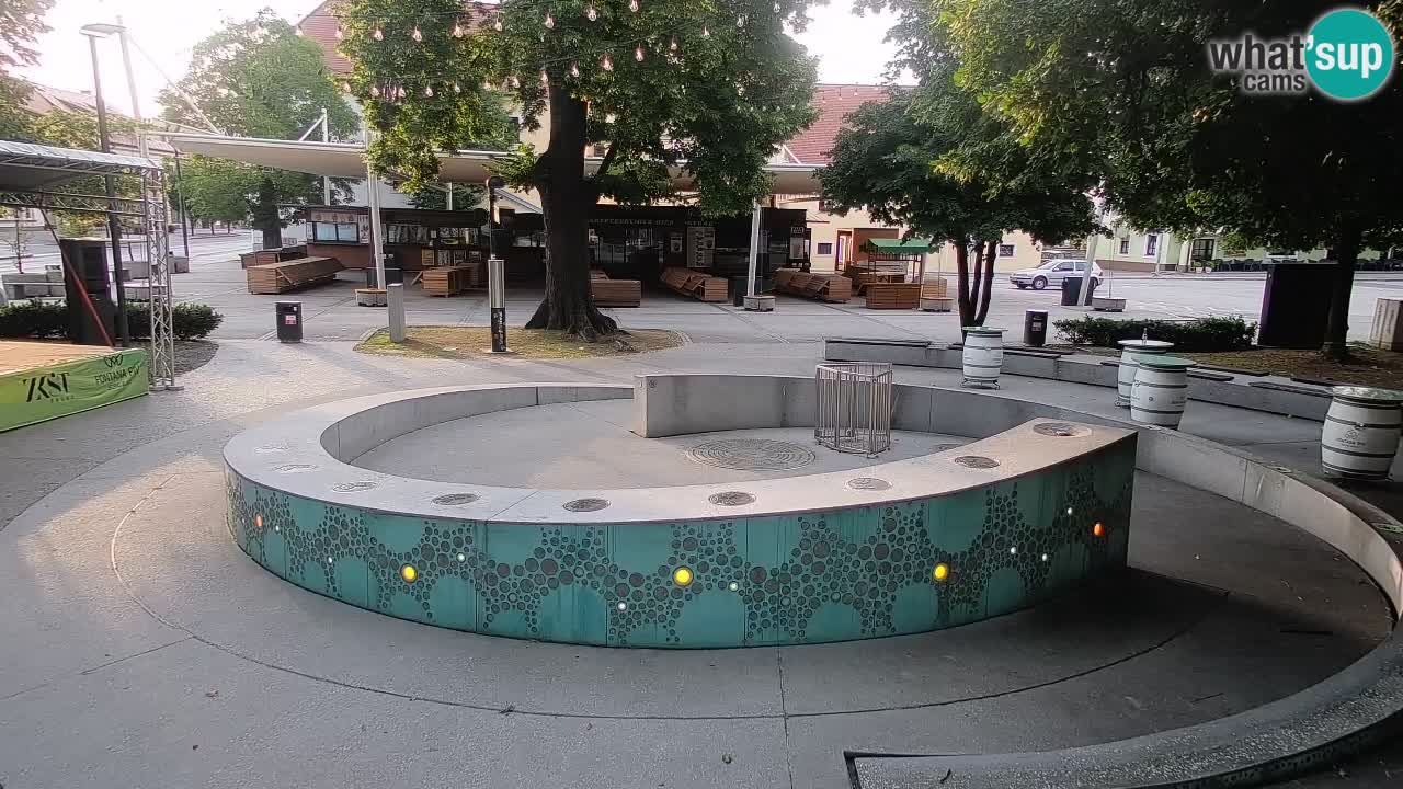Fontaine à bière LIVE webcam – Or vert – Žalec