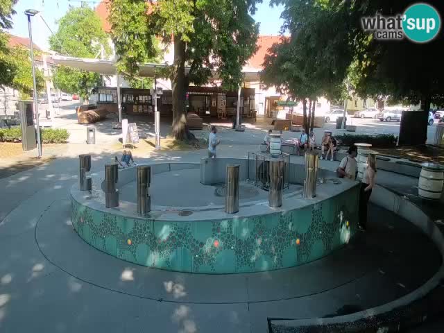 Web kamera Fontana piva – Zeleno zlato – Žalec