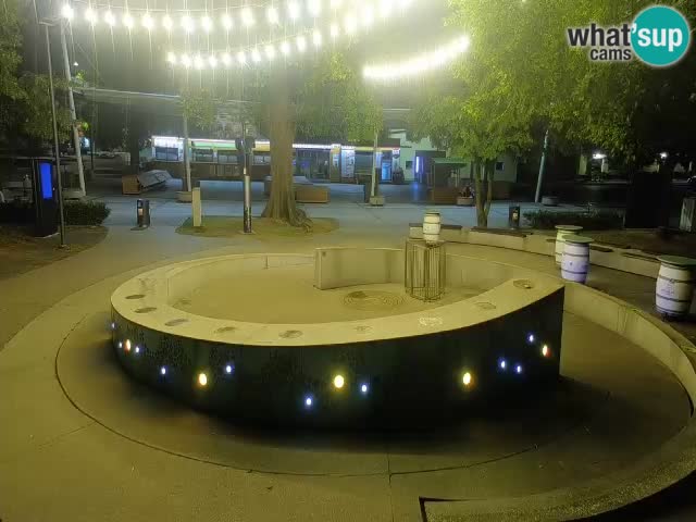 Fontana di birra Webcam – Oro verde – Žalec