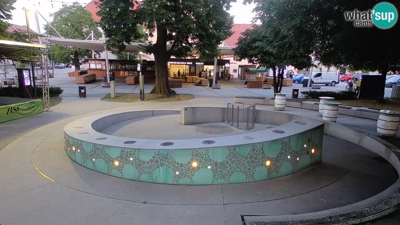 Bier-Springbrunnen Webcam Žalec – Grünen Goldes