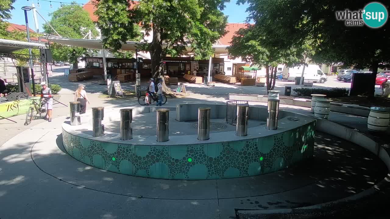 Web kamera Fontana piva – Zeleno zlato – Žalec