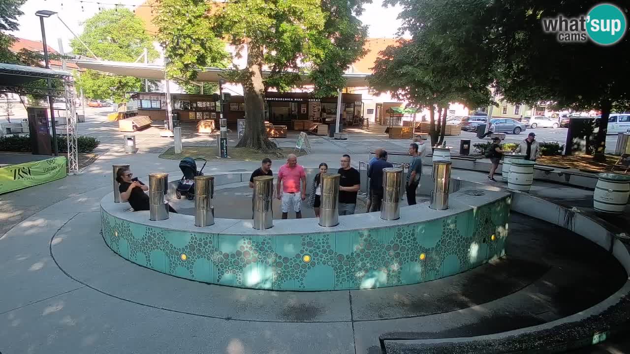 Fontana di birra Webcam – Oro verde – Žalec