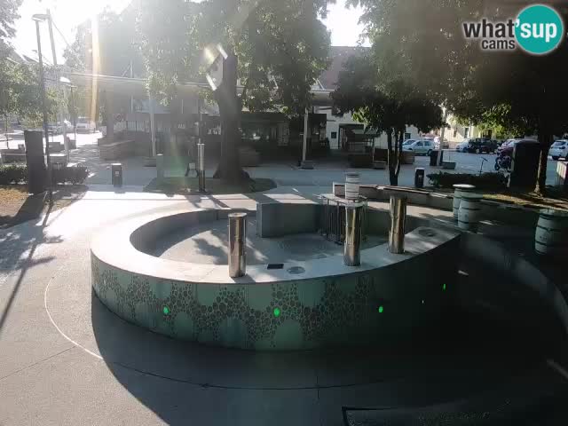 Web kamera Fontana piva – Zeleno zlato – Žalec