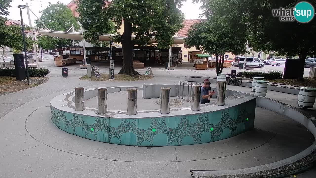 Web kamera Fontana piva – Zeleno zlato – Žalec