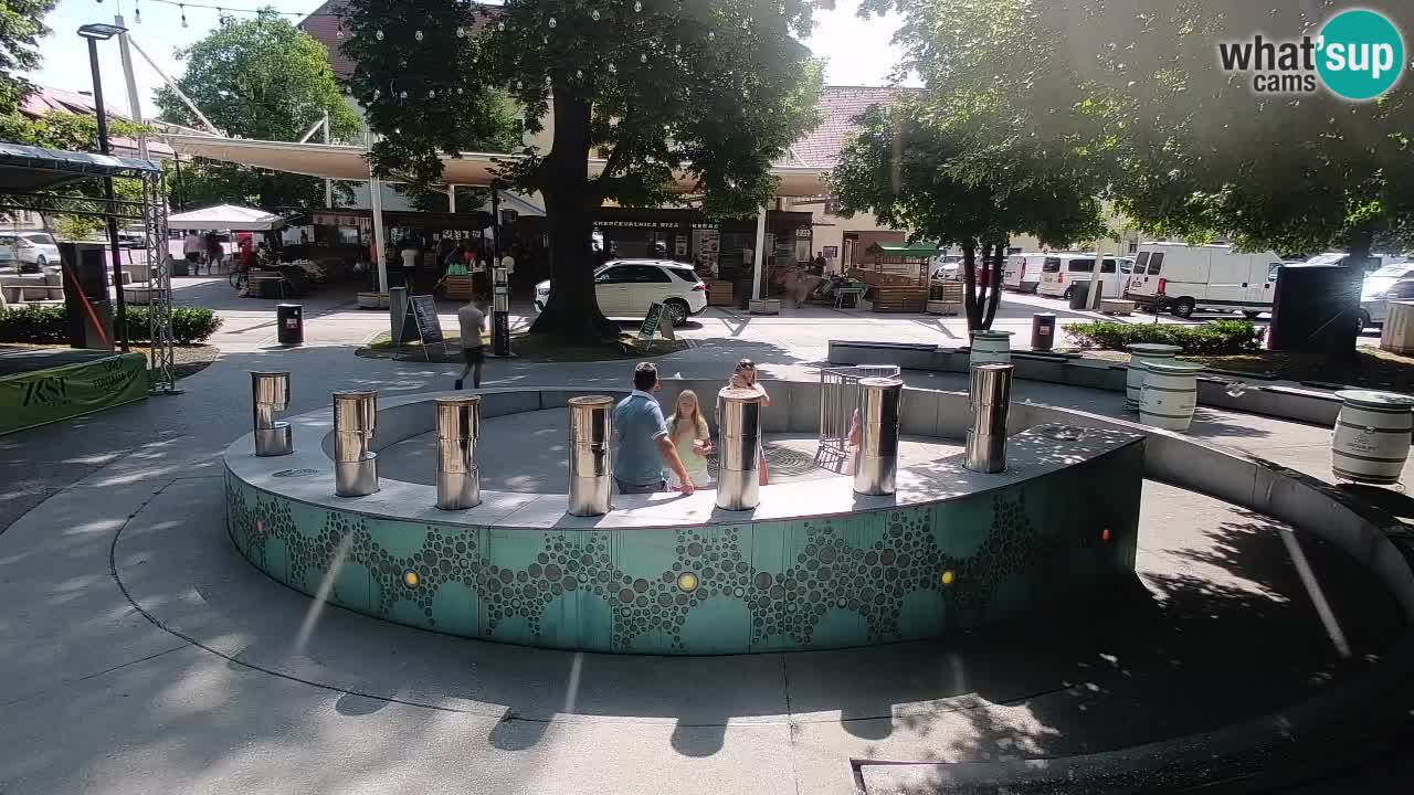 Bier-Springbrunnen Webcam Žalec – Grünen Goldes