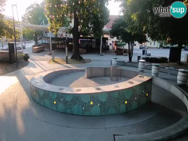 Bier-Springbrunnen Webcam Žalec – Grünen Goldes