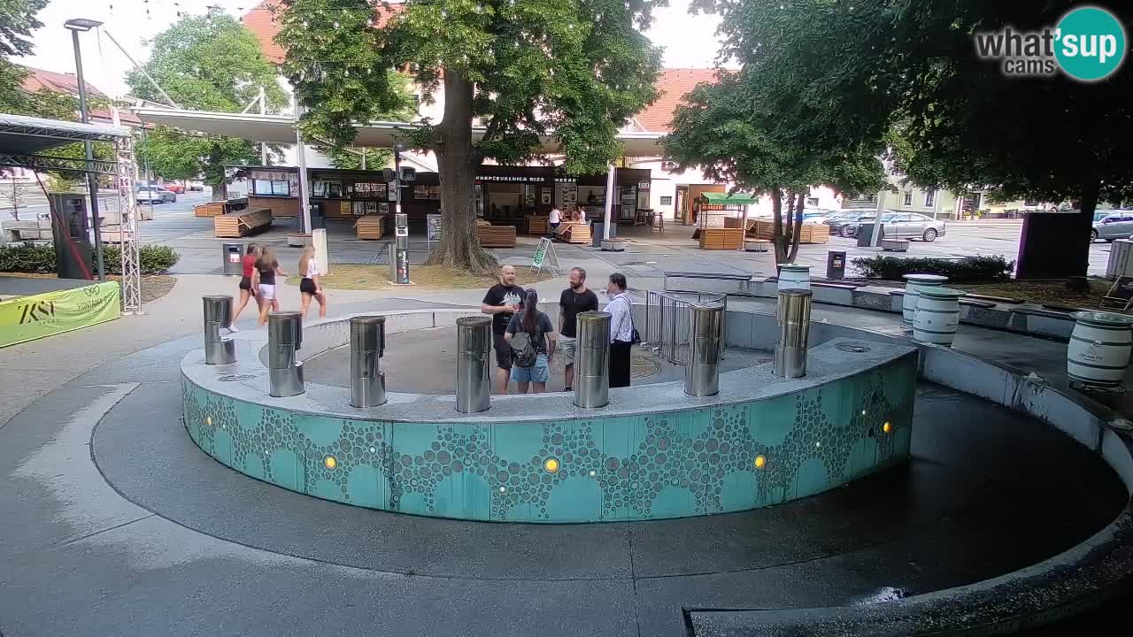 Bier-Springbrunnen Webcam Žalec – Grünen Goldes