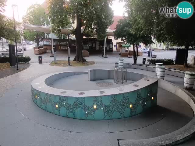 Bier-Springbrunnen Webcam Žalec – Grünen Goldes