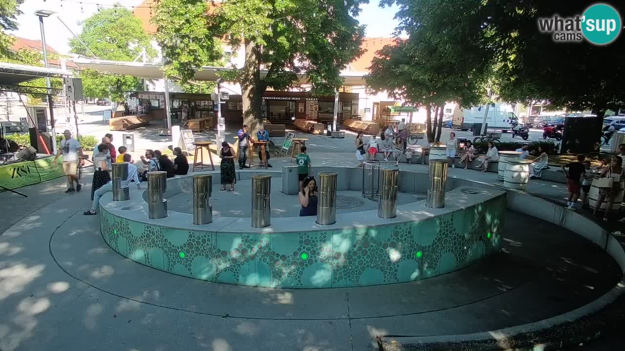 Fontaine à bière LIVE webcam – Or vert – Žalec