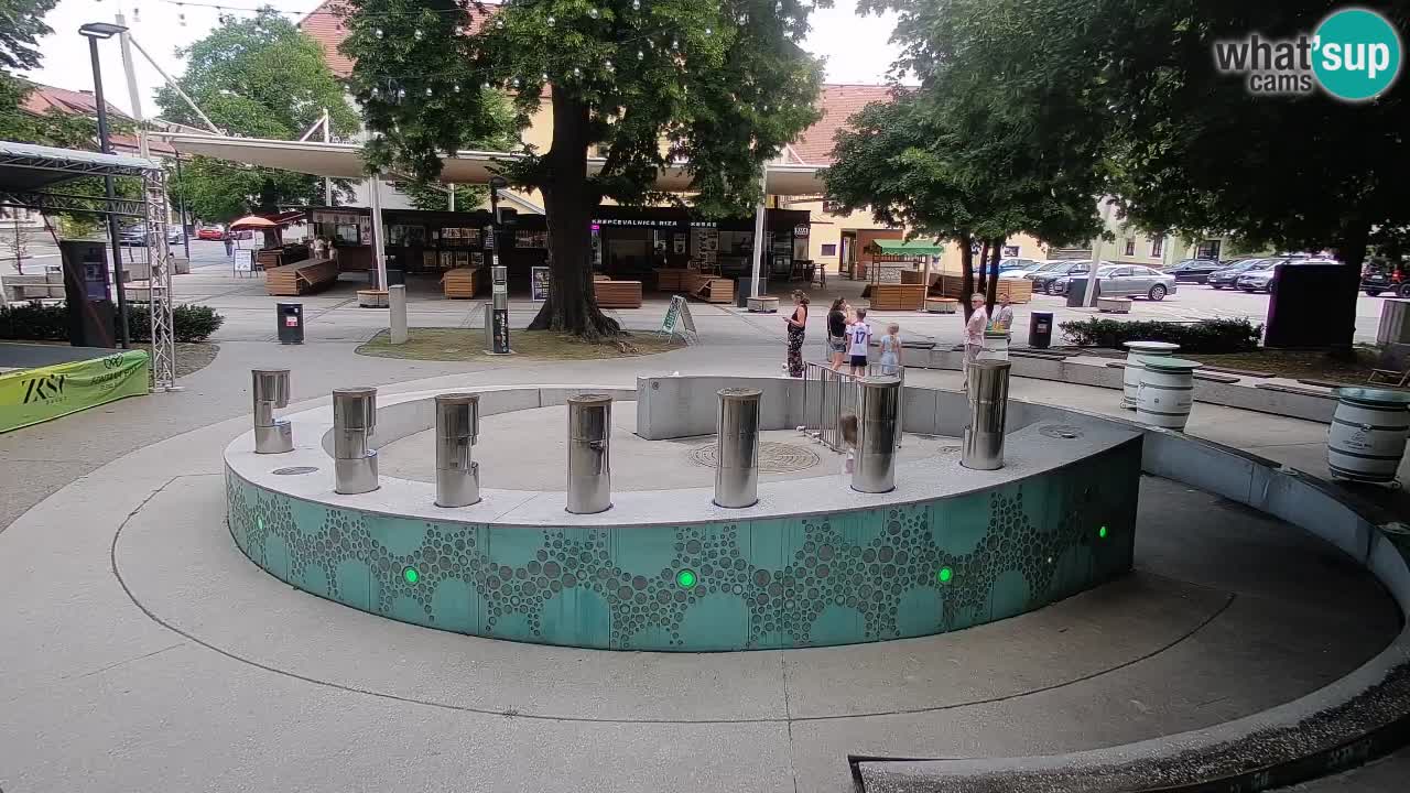 Bier-Springbrunnen Webcam Žalec – Grünen Goldes