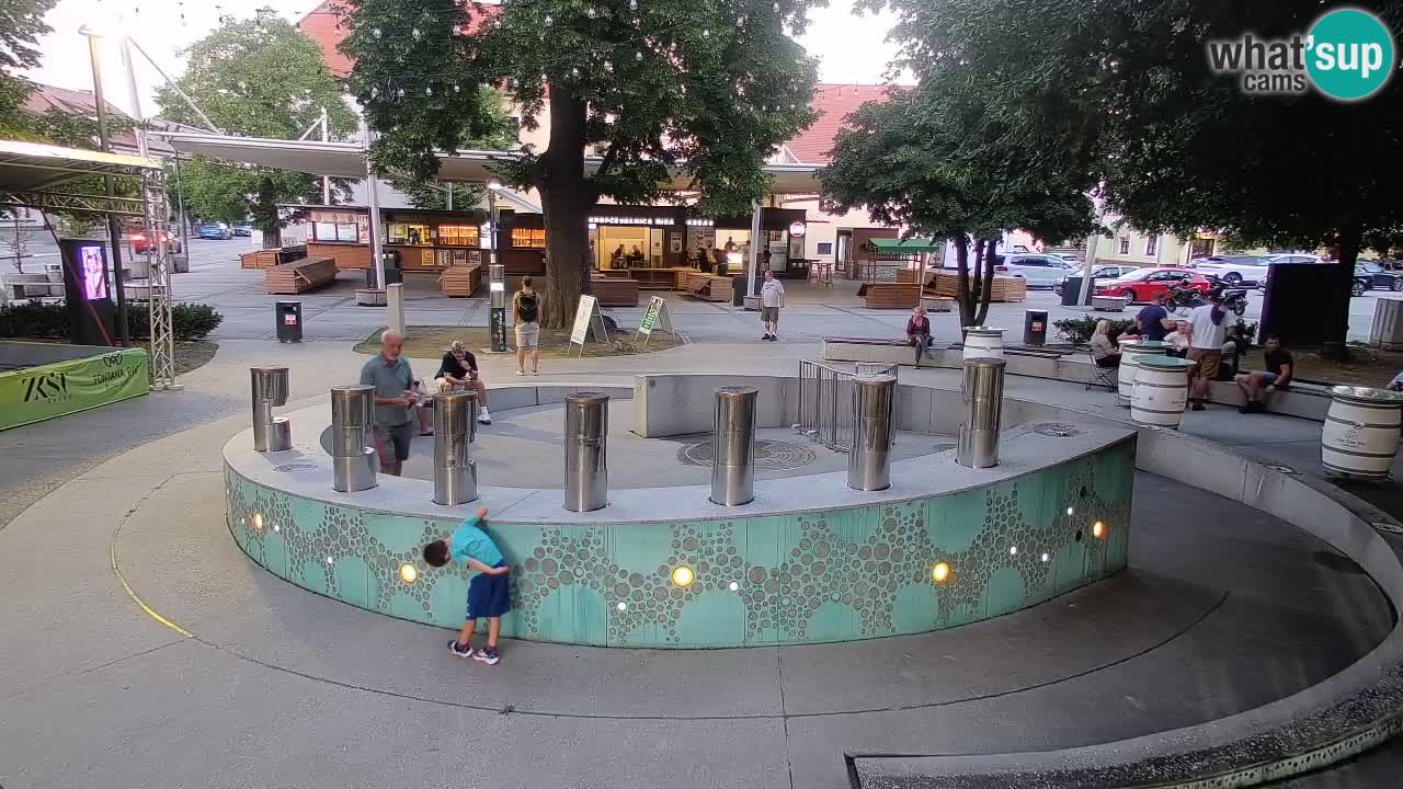 Camera en vivo Fuente de cerveza – Oro verde – Žalec