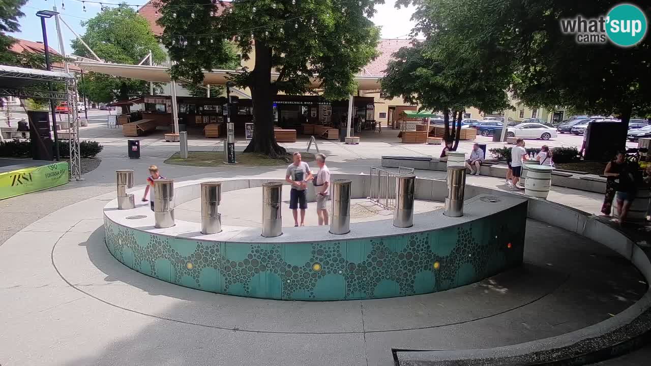 Bier-Springbrunnen Webcam Žalec – Grünen Goldes