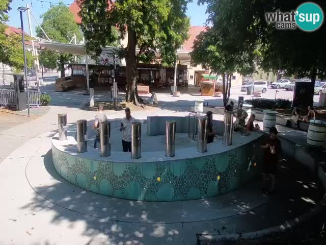 Fontana di birra Webcam – Oro verde – Žalec
