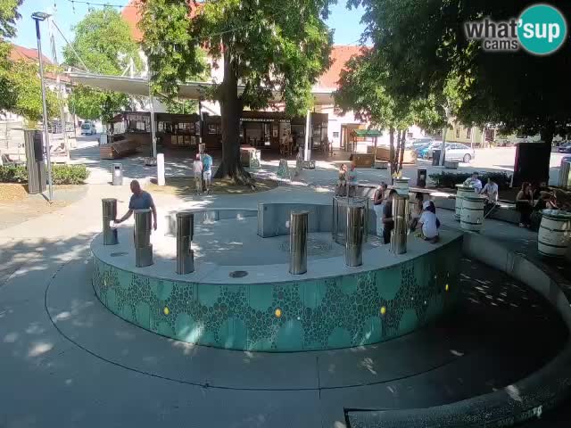 Spletna kamera Fontana Piv – Zeleno zlato Žalec