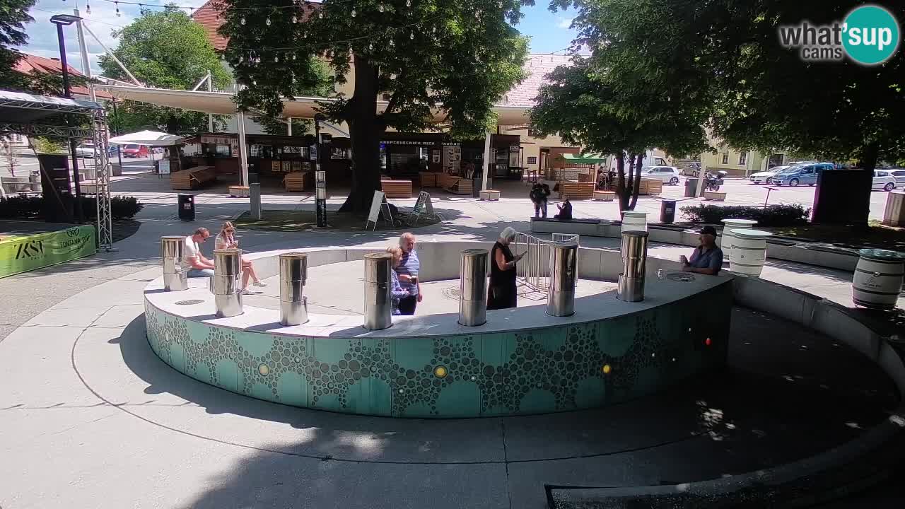 Web kamera Fontana piva – Zeleno zlato – Žalec