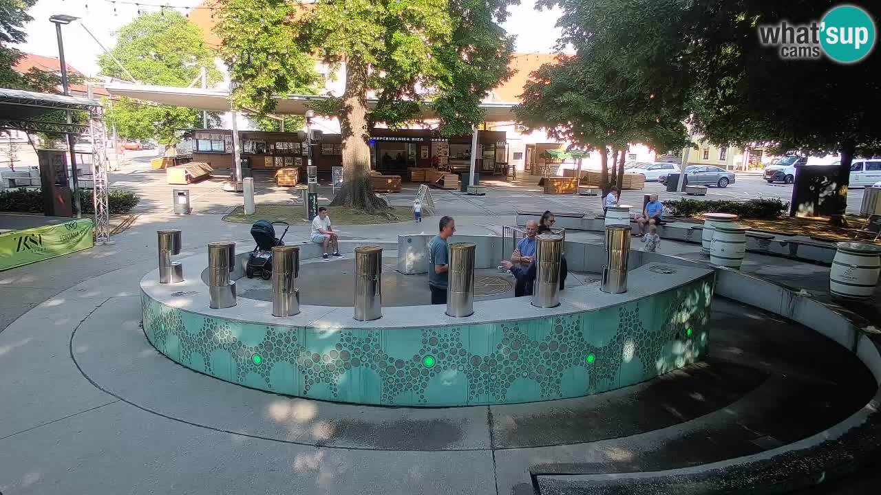 Bier-Springbrunnen Webcam Žalec – Grünen Goldes