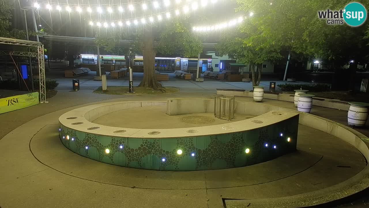 Web kamera Fontana piva – Zeleno zlato – Žalec