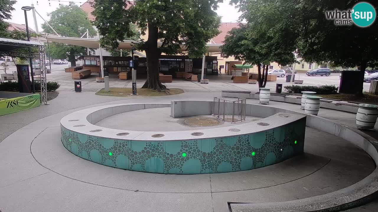 Bier-Springbrunnen Webcam Žalec – Grünen Goldes