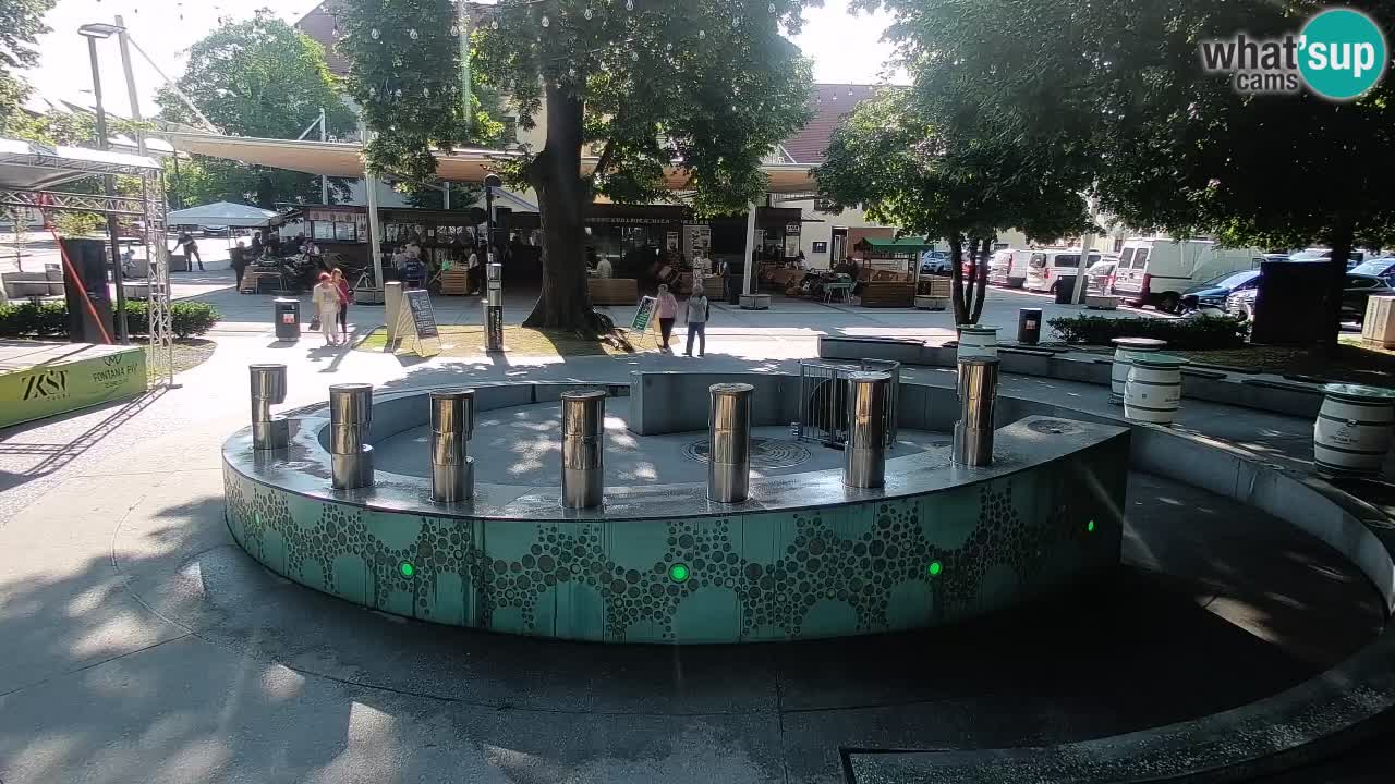 Fontana di birra Webcam – Oro verde – Žalec