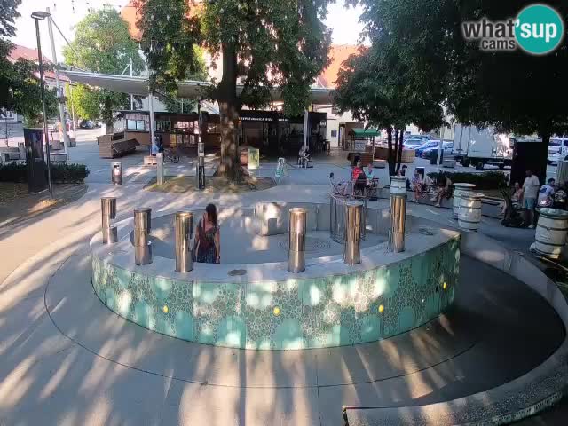 Fontana di birra Webcam – Oro verde – Žalec